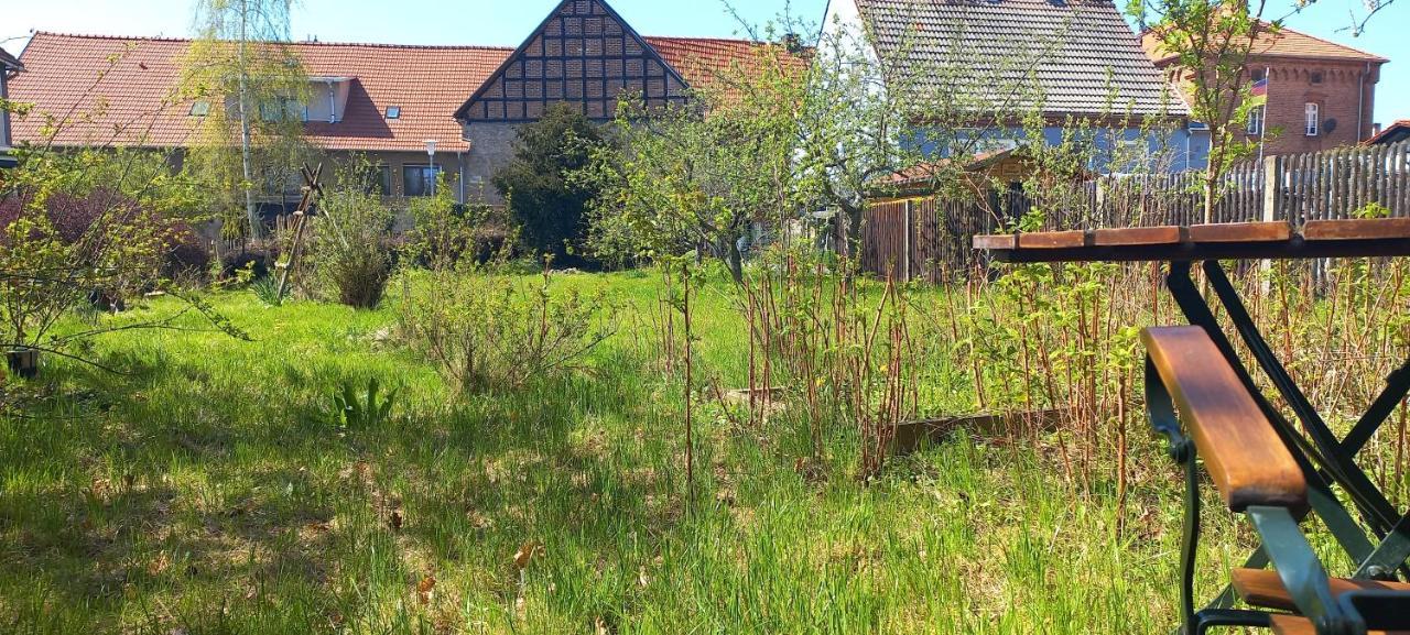 Apartment Mit Herz Im Harz Meisdorf Exterior photo